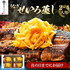 【ふるさと納税】【丑の日までにお届け!容量が選べる】うなぎ 北島うなぎ屋 せいろ蒸し 九州産 うなぎのせいろ蒸し うなぎ せいろむし 2人前〜4人前 福岡県柳川発祥 鰻 蒲焼 せいろ蒸し 九州産米 おすすめ 福岡県 大木町 年末年始グルメ 父の日ギフト 土用の丑の日 父の日