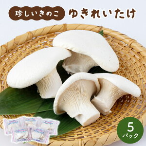 yӂ邳Ɣ[Łẑ 䂫ꂢ AT19