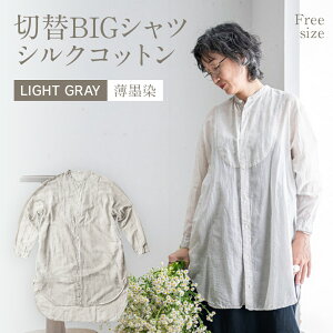 yӂ邳Ɣ[Łz  VN Rbg ؑBIGVc LIGHT GRAY inj lCr[ Vc O Vcs[X HD AO071