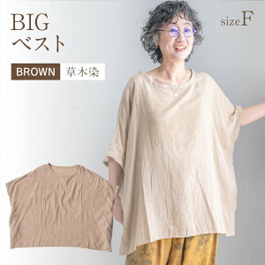 yӂ邳Ɣ[ŁzBIGxXg BROWNiؐj Vc gbvX t[TCY 100% F x[W  t 5 fB[X    ؒ AO116