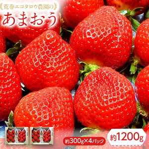yӂ邳Ɣ[ŁzrGR^E_̂܂300g×4pbN(1200g)y2026N2{ȍ~oח\zBJ04
