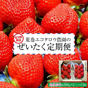 yӂ邳Ɣ[ŁzrGR^E_̂ց2026N1`2ɂ3oׁ@BJ08