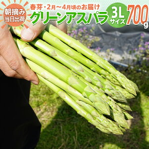 【ふるさと納税】数量限定 アスパラ・ホワイトアスパラ 3Lサイズ 700g 選べる 春芽/夏芽 朝採り 朝採れ 直送 グリーンアスパラガス ホワイトアスパラガス アスパラ BT01 BT05 BT01w BT-S0001