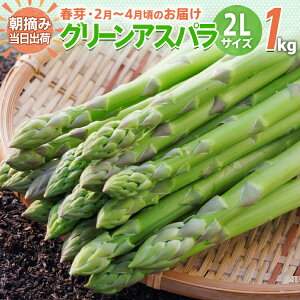 yӂ邳Ɣ[Łzʌ AXp 2LTCY 1kg Iׂ t^ĉ@̂ ̂  O[AXpKX AXp@BT02 BT06 BT-S0002