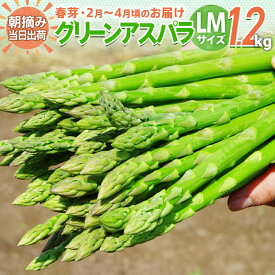 【ふるさと納税】数量限定 アスパラ LMサイズ 1.2kg 選べる 春芽／夏芽　朝採り 朝採れ 直送 グリーンアスパラガス アスパラ　BT03 BT07 BT-S0003