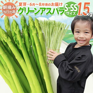 yӂ邳Ɣ[Łzʌ AXp S`SSTCY 1.5kg Iׂ t^ĉ@̂ ̂  O[AXpKX AXp@BT09 BT13 BT-S0006