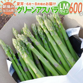 【ふるさと納税】アスパラ LM サイズ 600g 朝採り 直送 選べる 春芽 夏芽 グリーンアスパラガス 朝採れ 先行予約 BT10 BT11 BT-S0005