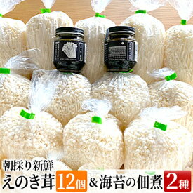 【ふるさと納税】海苔 佃煮 セット 朝採り新鮮えのき茸と海苔の佃煮2種のセット えのき 茸 福岡県 大木町 株式会社共夢 BF02