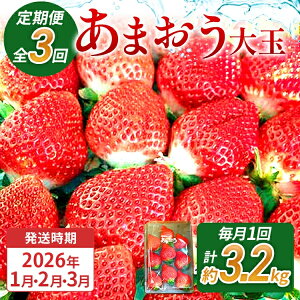 yӂ邳Ɣ[Łzy3ցz Ԍ  ܂  C`S 3.2kg ܂iʁjA4pbN×3i1A2A3j y2026N1`3ɏ\z kCEE