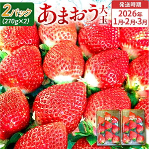 yӂ邳Ɣ[ŁzԌ  ܂  C`S 540g ܂iʁjA2pbNi270g/pbNjy2026N1`3z t[c ʕ   kCEE͔zs