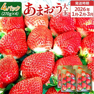 yӂ邳Ɣ[ŁzԌ  ܂  C`S 1kg ܂iʁjA4pbNi270g/pbNj y2026N1`3z t[c ʕ   kCEE͔zs