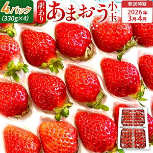 yӂ邳Ɣ[Łzy󂠂z Ԍ   1.3kg y󂠂iz܂iʁjA4pbNi330g/pbNjy2026N3`4zz t[c ʕ 󂠂  kCEE