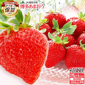 【ふるさと納税】【アフター保証】博多あまおう 福岡県JAグループのブランド あまおういちご 1080g（約270g×4パック）JA福岡大城【2026年2月中旬から順次発送】AG010