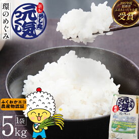 【ふるさと納税】令和7年度米 特別栽培米「環のめぐみ」　精米5kg おすすめ 福岡県 大木町 AI001-1
