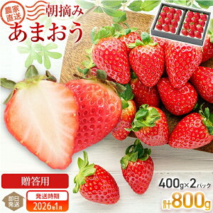 yӂ邳Ɣ[Łz C`S  ܂ 800g 1620g Iׂ钩E݂܂ 800g(400g×2pbN)y2025N1or2\zor1620g(270g×6pbN) y2025N3\z ؒ