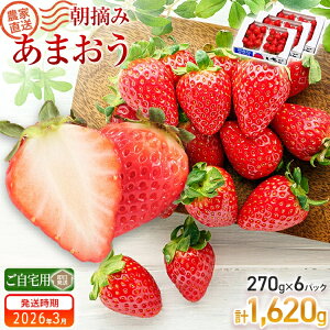 yӂ邳Ɣ[Łz C`S  ܂ 800g 1620g Iׂ钩E݂܂ 800g(400g×2pbN)y2025N1or2\zor1620g(270g×6pbN) y2025N3\z ؒ
