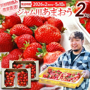 yӂ邳Ɣ[ŁzWp܂1kg 2026N2{`510ɂďoח\ BD08