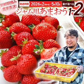【ふるさと納税】ジャム用あまおう1kg ※2026年2月中旬～5月10日頃にかけて順次出荷予定 BD08