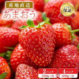 【ふるさと納税】【アフター保証】《先行予約》いちご あまおう 大木町 合計500〜1000g 【2027年1月〜3月に順次出荷予定】 ランキング入賞 フルーツ 苺 イチゴ あかい まるい おおきい うまい おすすめ 9000円 果物 CB223