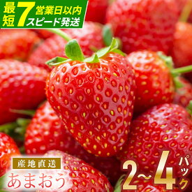 【ふるさと納税】【アフター保証】《最短7営業日以内スピード発送》いちご あまおう 大木町 合計540〜1200g 【2026年1月～4月に順次出荷予定】 苺 イチゴ あかい まるい おおきい うまい おすすめ CB223 9000円 10000円 果物 CB223 AG010 BD01-2 BJ04 CL001