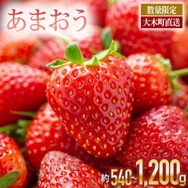 【ふるさと納税】【アフター保証】《事業者と容量が選べる! 》いちご あまおう 大木町 合計540〜1200g 【2026年1月～4月に順次出荷予定】 イチゴ あかい まるい おおきい うまい おすすめ CB223 9000円 10000円 果物 CB223 AG010 BD01-2 BJ04 CL001