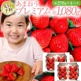 【ふるさと納税】【先行予約/2026年】大木町産 あまおう いちご 約270g×4パック《2026年2月以降順次発送》 イチゴ 苺 果物 おすすめ 福岡県 大木町 CL001
