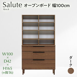yӂ邳Ɣ[ŁzIׂ I[v{[h Salute Te 80cm 100cm NA i` x[W DK _[N uE Ƌ [ I {I i ykCEkEEsz CN-S0009 CN016-NA CN016-