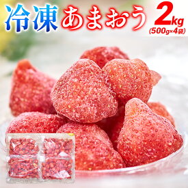 【ふるさと納税】＜選べる容量＞福岡産 冷凍あまおう 1kgor2kg【CO026/CO027】