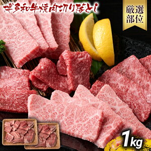 yӂ邳Ɣ[Łz󂠂yA4`A5zaē؂藎Ƃ([XEoj500g 1kg јa 񂹃O  yY B yY  O MEAT PLUS CP-S0005 CP021 CP022