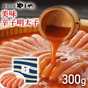 yӂ邳Ɣ[Łz܂  hqq 300g  O ߂񂽂 ͂  yY Zbg Ђ܂R~jP[VY CS006