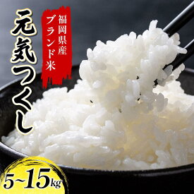 【ふるさと納税】＜選べる容量＞福岡県産米 元気つくし 精米 (5kg～15 kg) 令和7年産【精米 7年産 国産 福岡県産 お米 ブランド米 5kg 10kg 15kg 選べる容量 げんきつくし】CY011-013