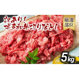 【ふるさと納税】《通常配送or先行予約》訳あり 博多和牛切り落とし 400g～5kg | 黒毛和牛 お取り寄せグルメ お取り寄せ 福岡 お土産 九州 福岡土産 取り寄せ グルメ MEAT PLUS [CP014/CP015/CP016/CP017/CP018/CP033]
