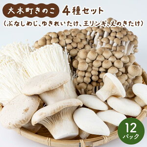 yӂ邳Ɣ[ŁzIׂeʁؒ̂̂Zbg(ԂȂ߂E䂫ꂢEMÊe1`3pbN)