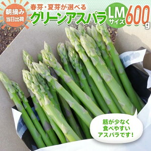 yӂ邳Ɣ[Łzʌ AXp LM TCY 600g Iׂ t^ĉ@̂ ̂  O[AXpKX AXp@BT10 BT11 BT-S0005
