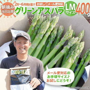 yӂ邳Ɣ[Łzʌ s\ LMTCY 400g TCY@̂ ̂  O[AXpKX AXpy2`6͂z BT12