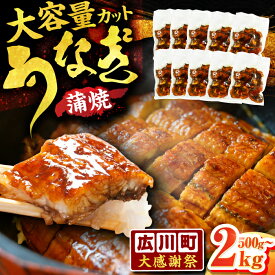 【ふるさと納税】【大感謝祭：寄附額見直し】きざみうなぎ 500g〜2kg うなぎ ウナギ 個食パック 小分け 簡単 魚介 海産物 カットうなぎ 刻みうなぎ 選べる 内容量 パック おすすめ 人気 きざみ 蒲焼き 広川町 / 株式会社イールファクトリー[AFBS001]