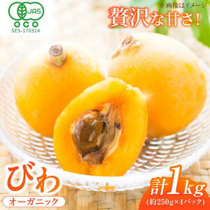 yӂ邳Ɣ[Łzys\ 2026N4zт 250g(4`7)×4pbN r f ʕ  L쒬 / JAӂ_Yǂ[AFAB002]