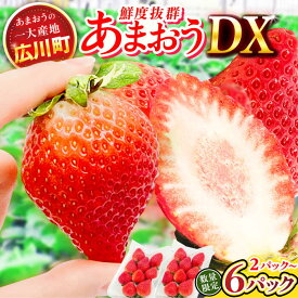 【ふるさと納税】【選べるケース数×定期便】【★先行予約★ 2026年2月発送開始】博多あまおう 1〜3ケース/1〜3回定期便 8000円 8,000円 8千円 広川町 / JAふくおか八女農産物直売所どろや[AFAB018]