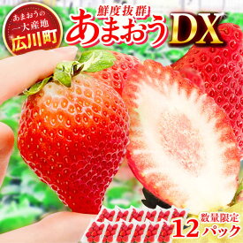 【ふるさと納税】【★先行予約★　2026年2月より発送】あまおうDX等級 6ケース（270g×12パック）　広川町 / JAふくおか八女農産物直売所どろや[AFAB006]