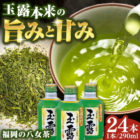 【ふるさと納税】福岡の八女茶 玉露 ボトル缶 290g×24本 お茶 緑茶 八女茶 広川町 / JAふくおか八女農産物直売所どろや[AFAB014]