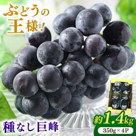 【ふるさと納税】【★先行予約★ 2026年7月中旬より発送】 種なし巨峰 約1.4kg ブドウ ぶどう 葡萄 きょほう グレープ 広川町 / JAふくおか八女農産物直売所どろや[AFAB017]