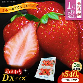 【ふるさと納税】【3回定期便】博多あまおう　広川町 / JAふくおか八女農産物直売所どろや[AFAB019]