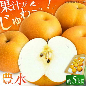 yӂ邳Ɣ[Łzys\ 2026N8{蔭z(L) 5kg@L쒬 / JAӂ_Yǂ[AFAB023]
