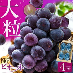 yӂ邳Ɣ[Łzys\ 2026N7{蔭zsI[l 1.4kg@L쒬 / JAӂ_Yǂ[AFAB047]