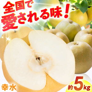 yӂ邳Ɣ[Łzys\ 2026N7{蔭ziKj5kg Ȃ iV ʕ t[c L쒬 / JAӂ_Yǂ[AFAB060]