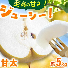 【ふるさと納税】【★先行予約★　2026年9月中旬より発送】梨（甘太）約5kg 広川町 / JAふくおか八女農産物直売所どろや[AFAB061]