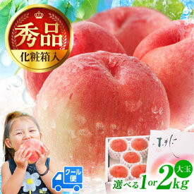 【ふるさと納税】【★先行予約★ 2026年5月下旬より発送】【選べる容量】桃 化粧箱入り 果物 くだもの もも 広川町 / JAふくおか八女農産物直売所どろや[AFAB011]