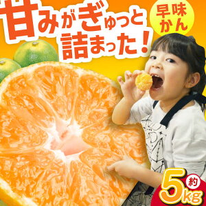 yӂ邳Ɣ[Łzys\񁚁@2025N9{蔭z 5kg L쒬 / JAӂ_Yǂ[AFAB075]