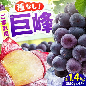 yӂ邳Ɣ[Łzys\ 2026N7{蔭zyƒpz햳@350g×4pbN@L쒬 / JAӂ_Yǂ[AFAB086]