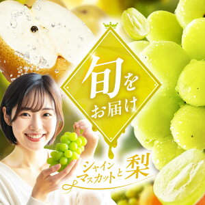 yӂ邳Ɣ[Łzt[cliVC}XJbg3pbN3j@L쒬 / JAӂ_Yǂ[AFAB088]